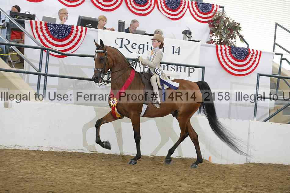Proof Number 14r14_2158