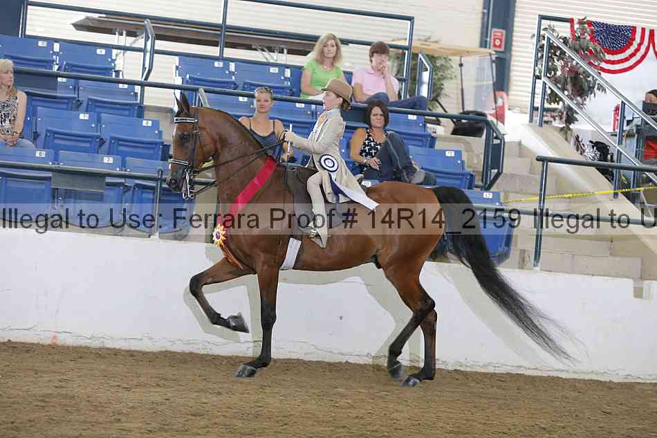 Proof Number 14r14_2159
