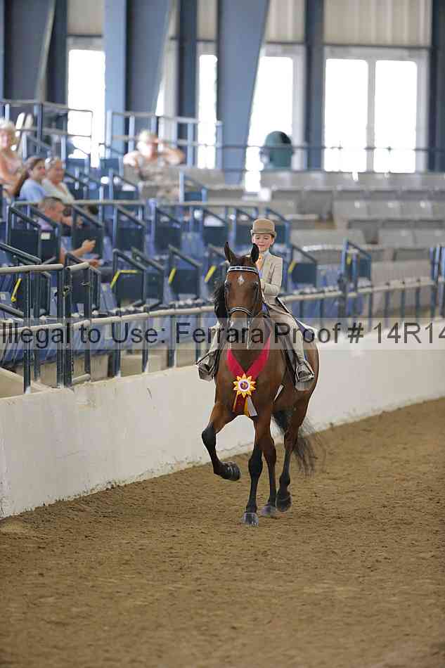 Proof Number 14r14_2160