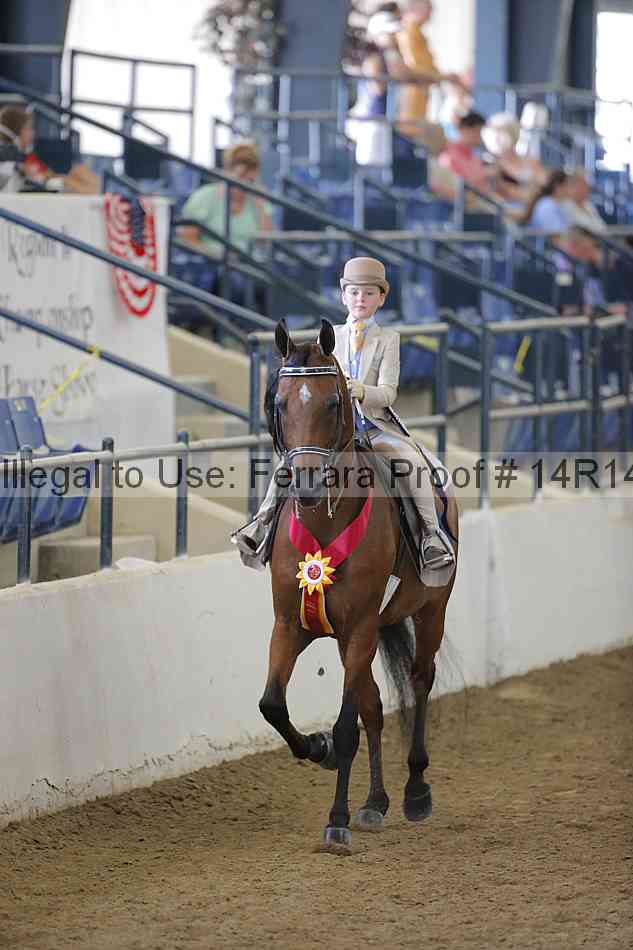 Proof Number 14r14_2162