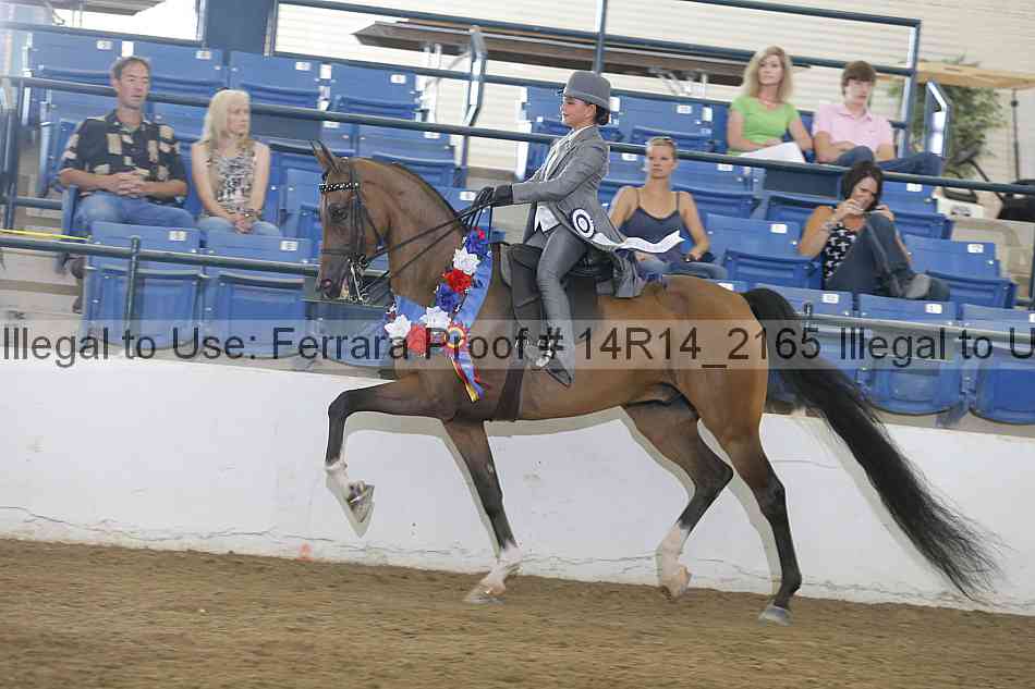 Proof Number 14r14_2165