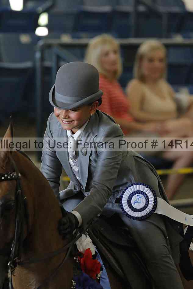 Proof Number 14r14_2171