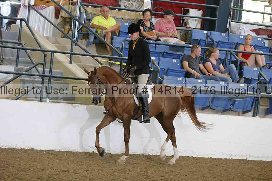 Proof Number 14r14_2176