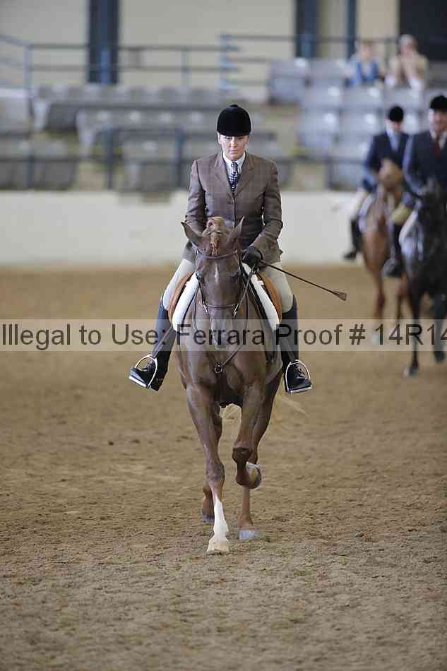 Proof Number 14r14_2182