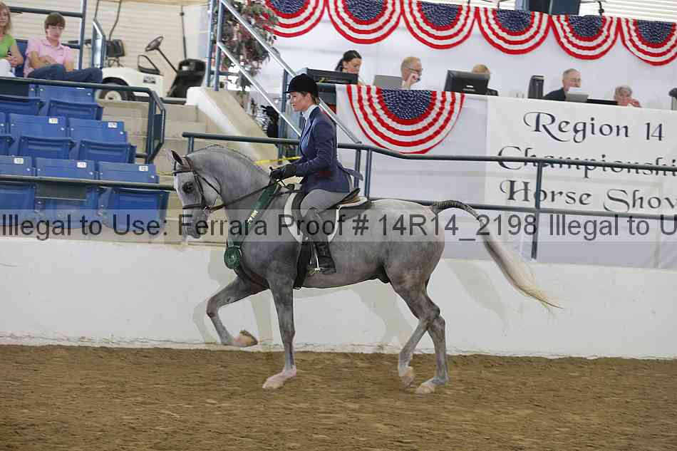 Proof Number 14r14_2198