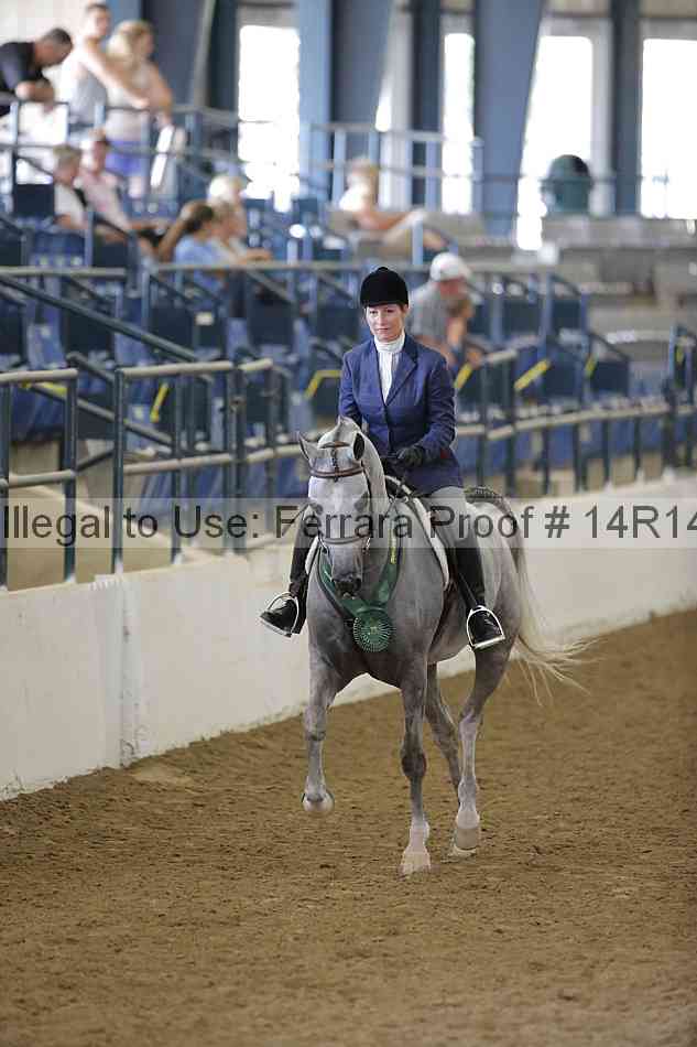 Proof Number 14r14_2199