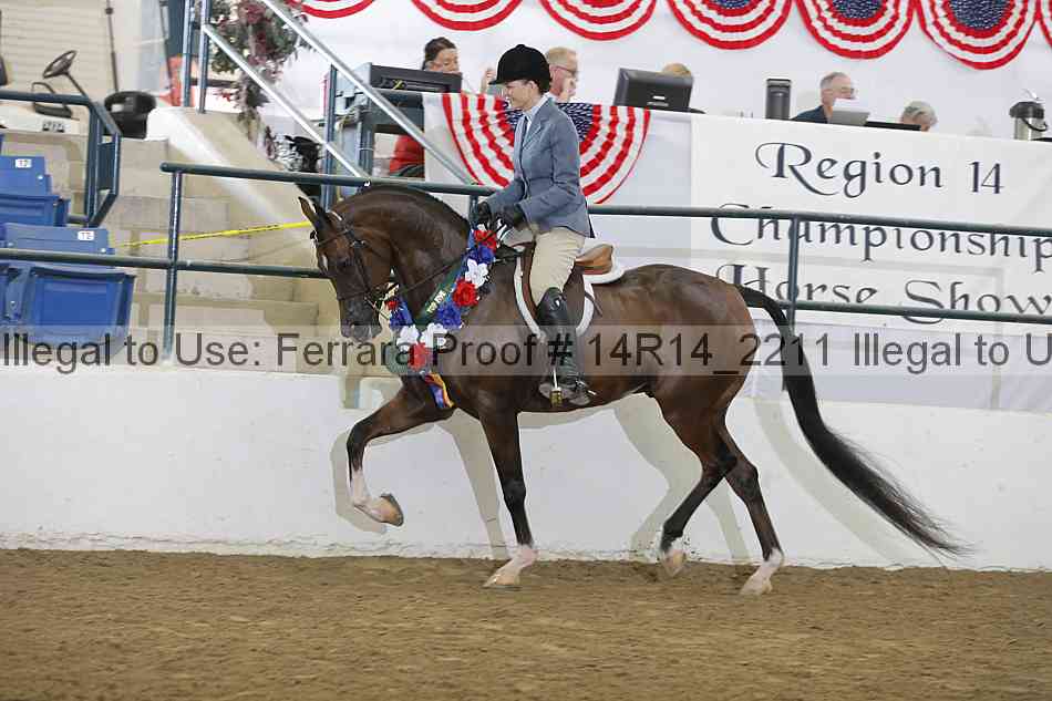 Proof Number 14r14_2211