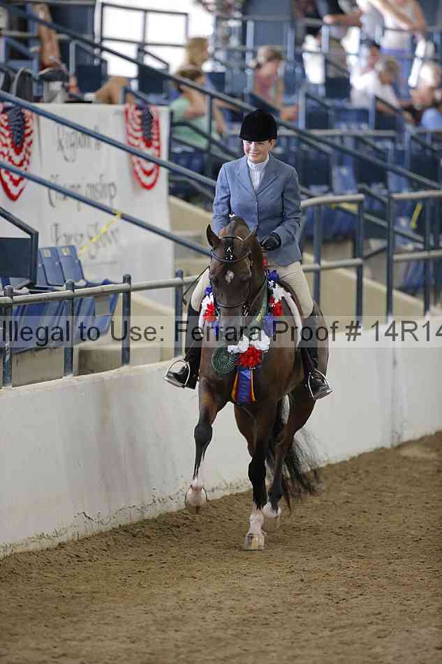 Proof Number 14r14_2214