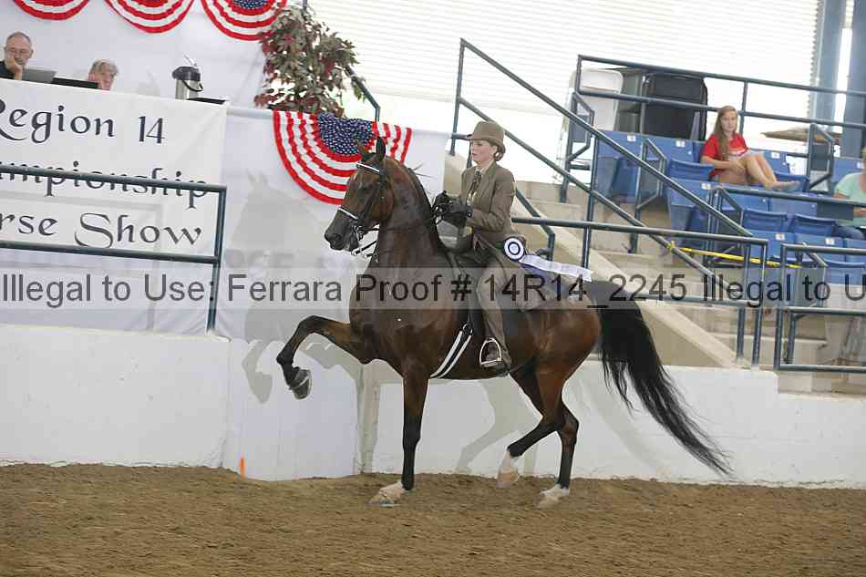 Proof Number 14r14_2245