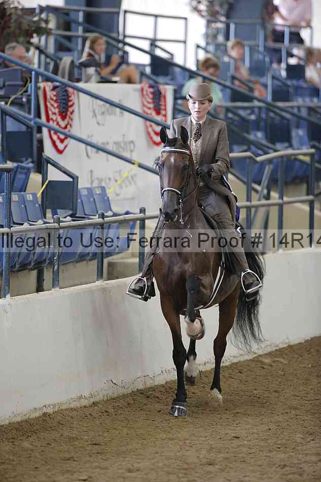 Proof Number 14r14_2249