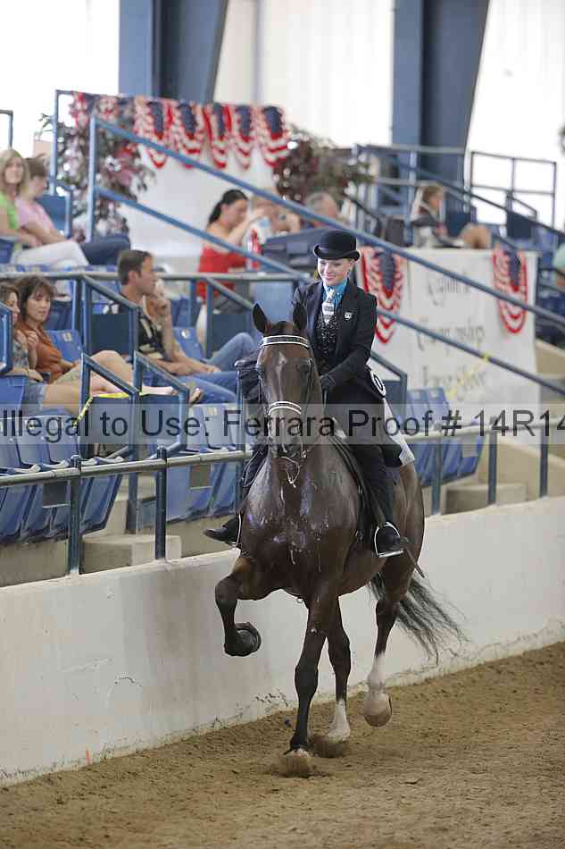 Proof Number 14r14_2258