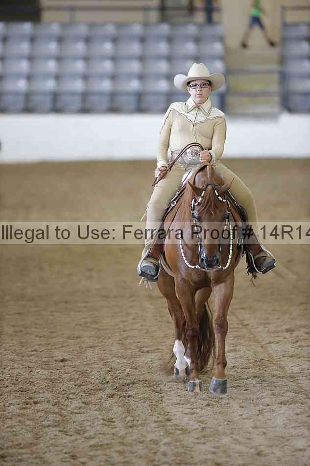 Proof Number 14r14_2275