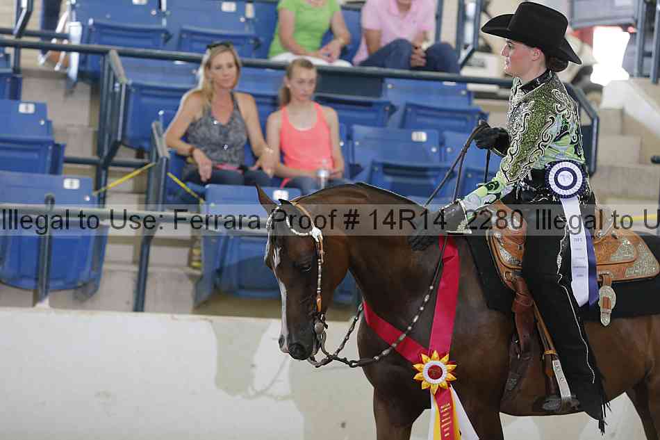 Proof Number 14r14_2280