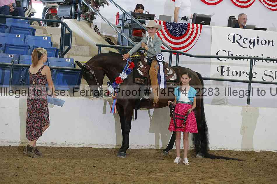 Proof Number 14r14_2283