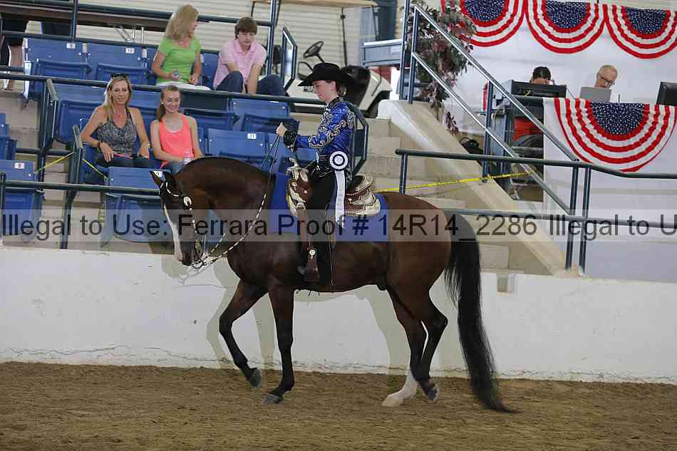 Proof Number 14r14_2286