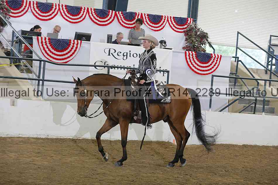 Proof Number 14r14_2289