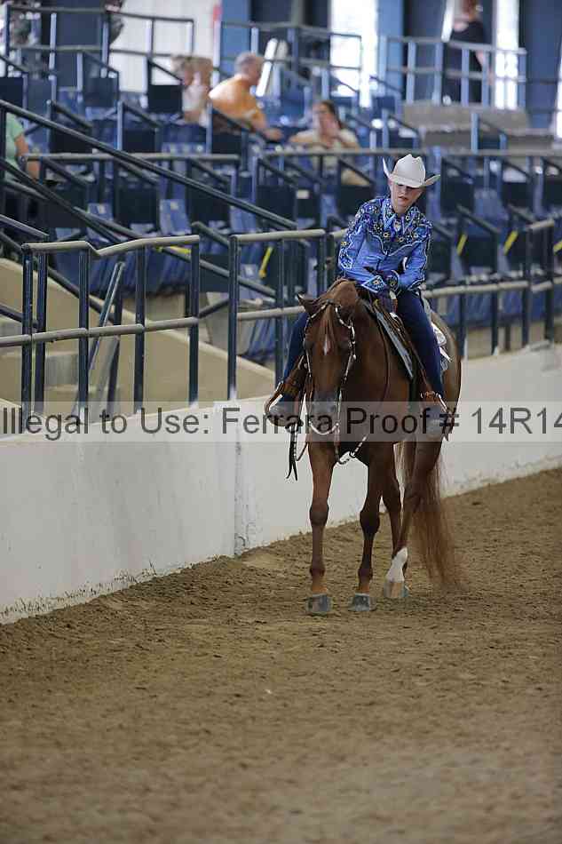 Proof Number 14r14_2296