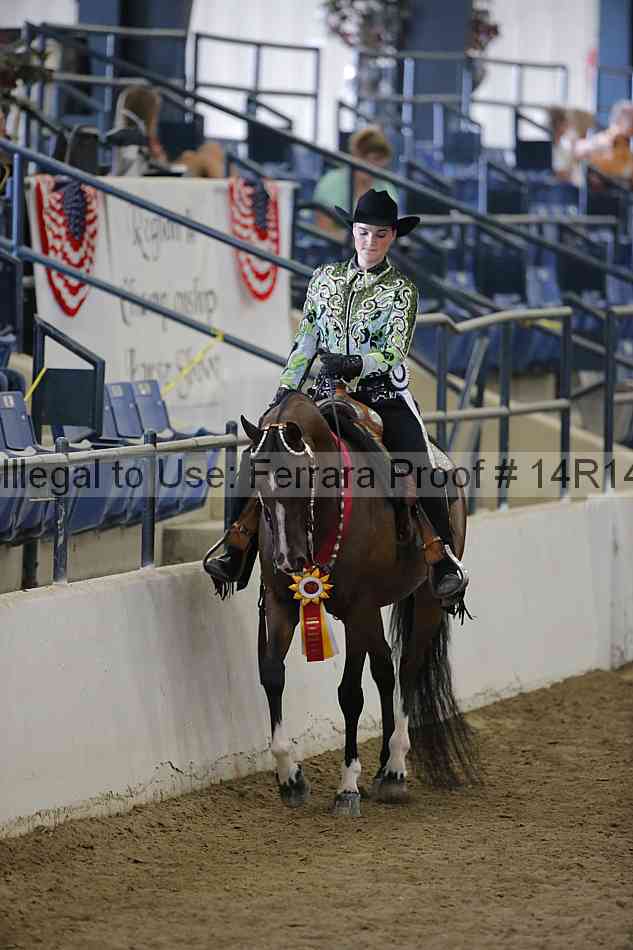 Proof Number 14r14_2303
