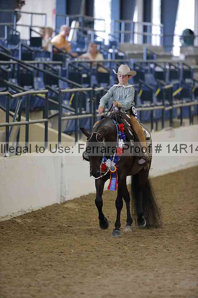 Proof Number 14r14_2307