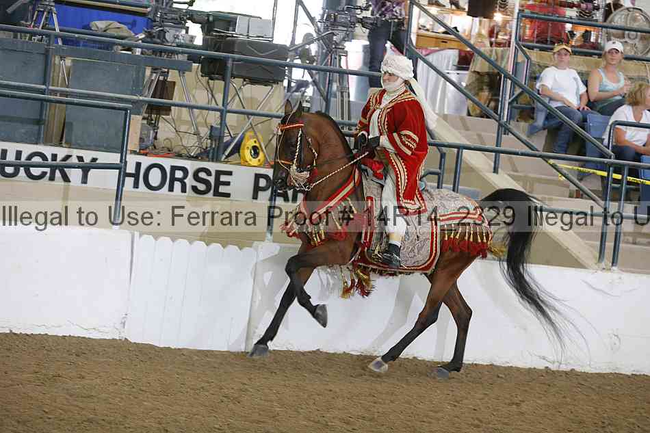 Proof Number 14r14_2329
