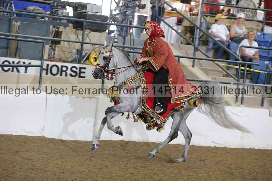 Proof Number 14r14_2331