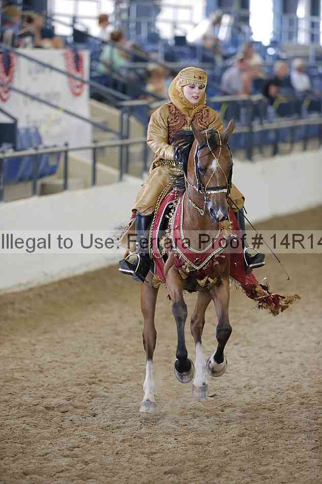 Proof Number 14r14_2332