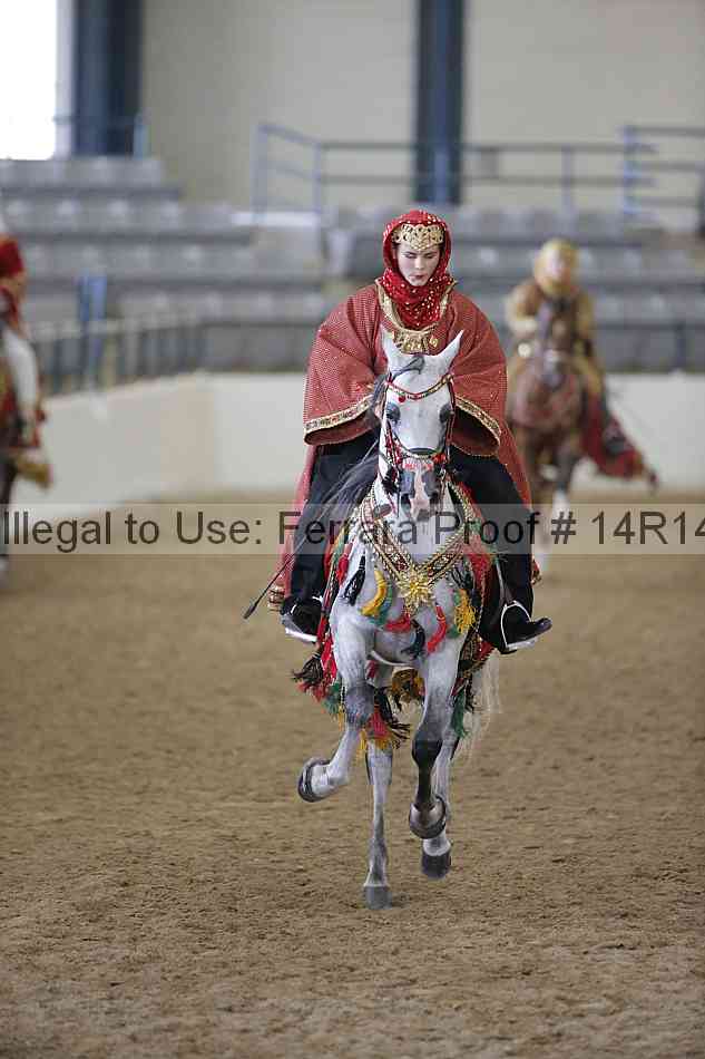 Proof Number 14r14_2335