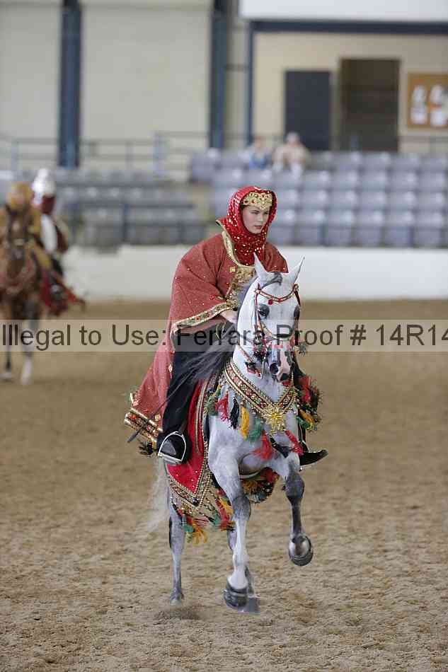 Proof Number 14r14_2336