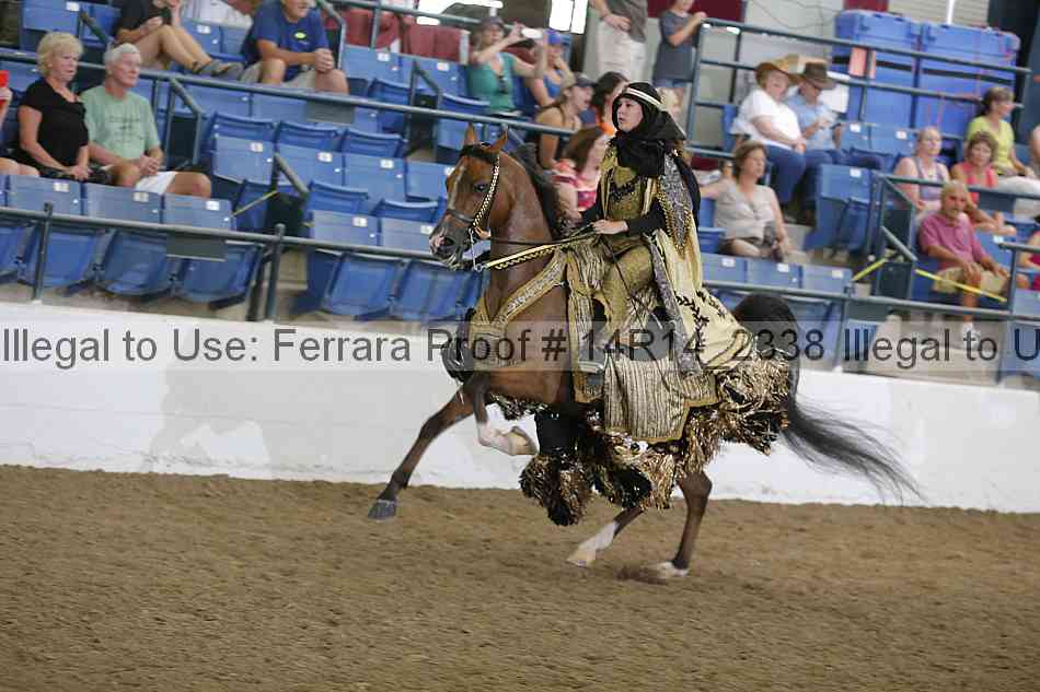 Proof Number 14r14_2338