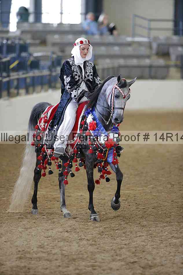 Proof Number 14r14_2358