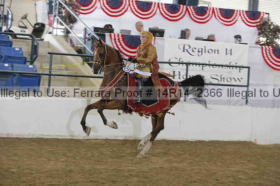 Proof Number 14r14_2366