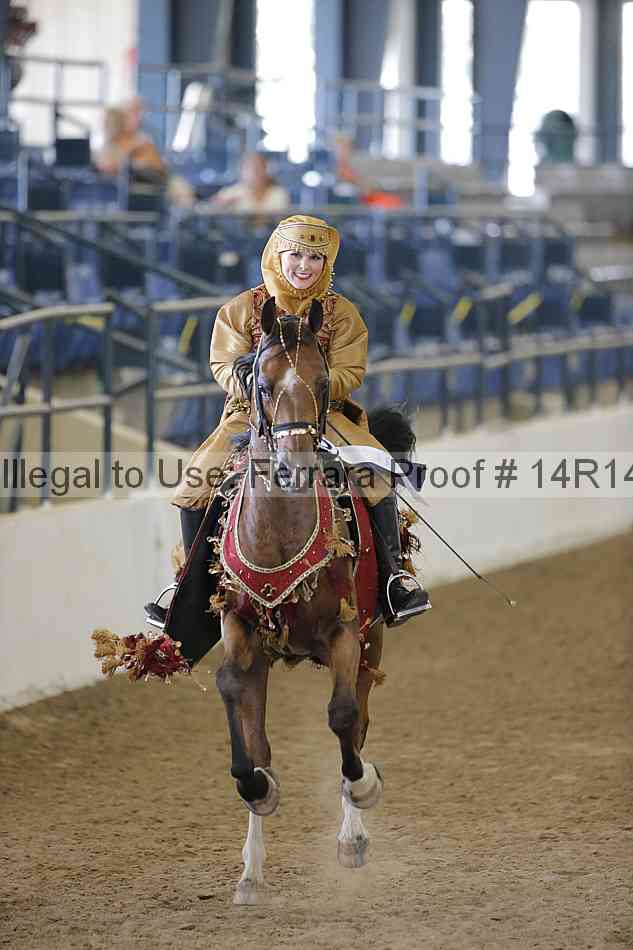 Proof Number 14r14_2368