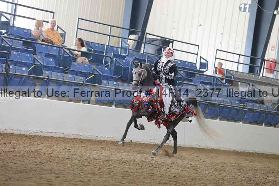 Proof Number 14r14_2377