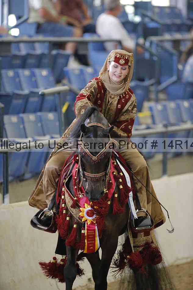 Proof Number 14r14_2382