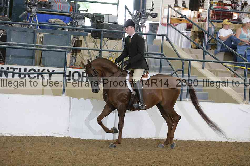 Proof Number 14r14_2390