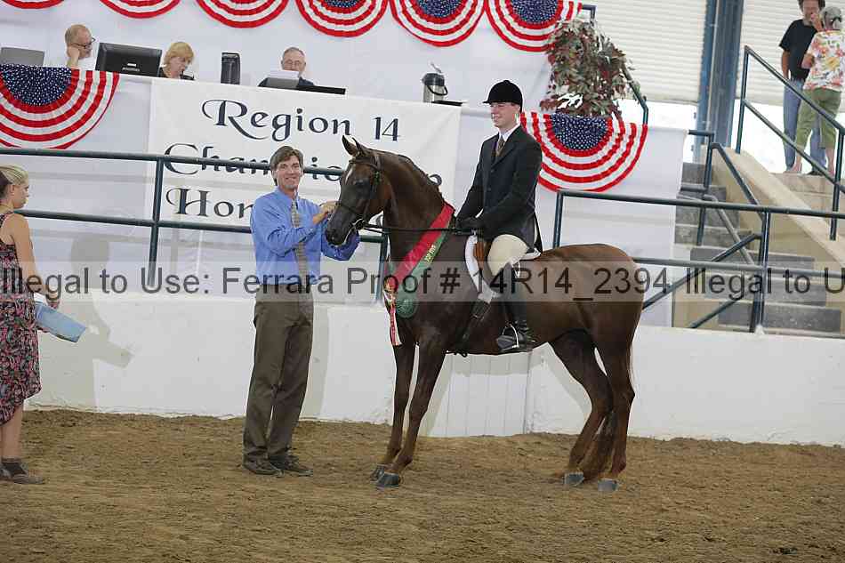 Proof Number 14r14_2394
