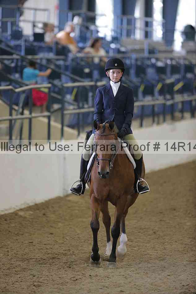Proof Number 14r14_2418