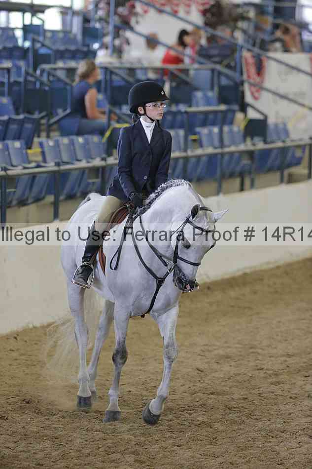 Proof Number 14r14_2424