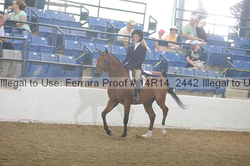 Proof Number 14r14_2442