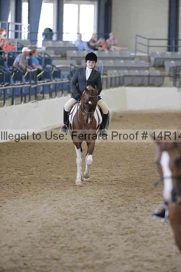 Proof Number 14r14_2453