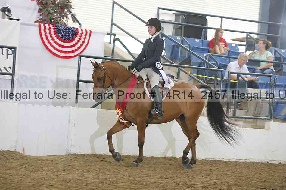 Proof Number 14r14_2457