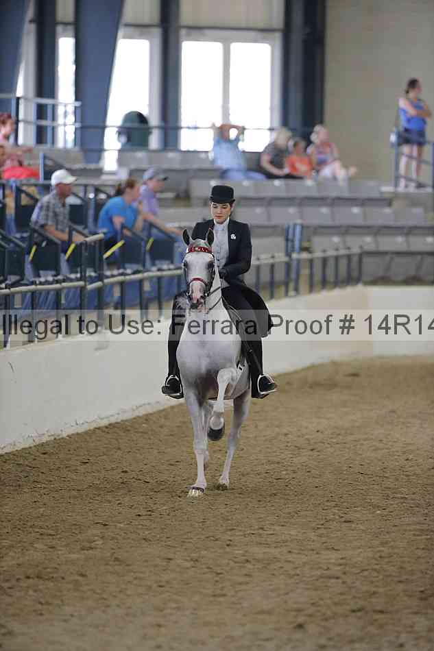 Proof Number 14r14_2498