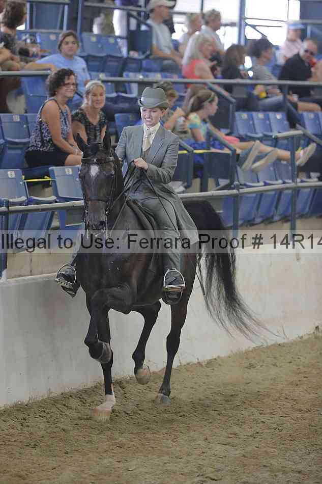 Proof Number 14r14_2505