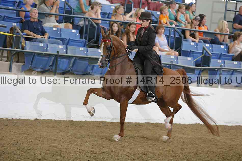 Proof Number 14r14_2508