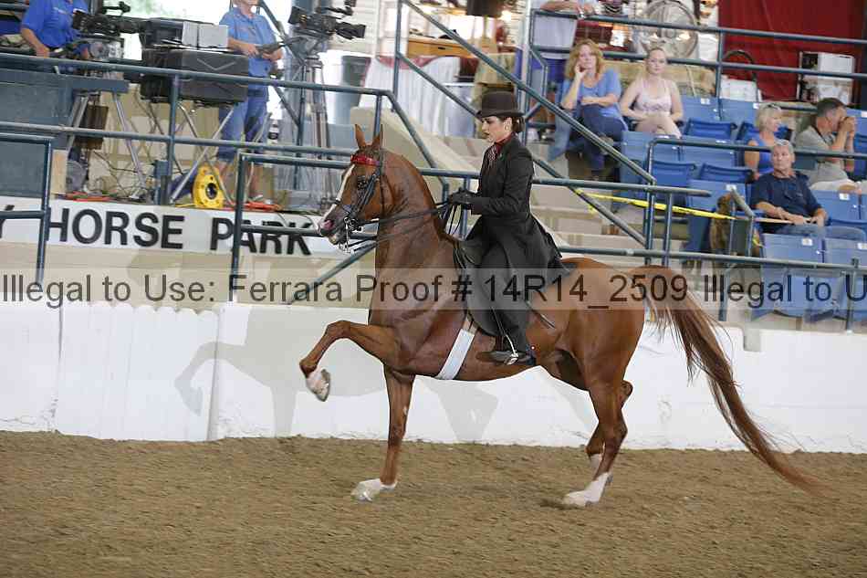 Proof Number 14r14_2509