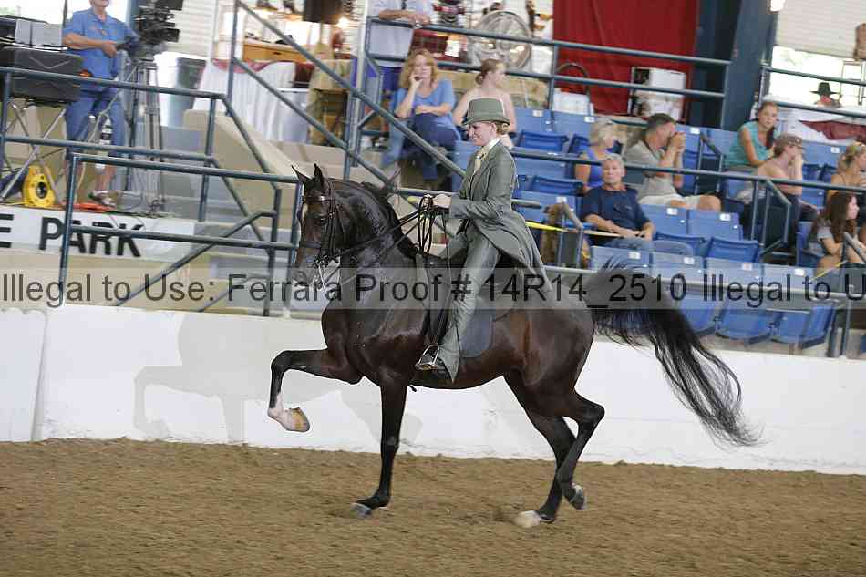 Proof Number 14r14_2510