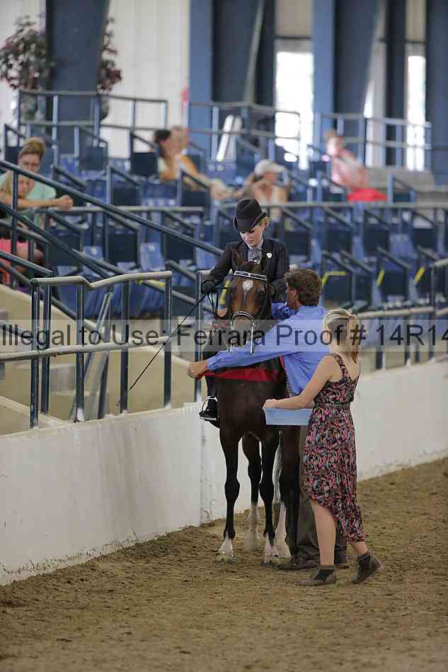 Proof Number 14r14_2513