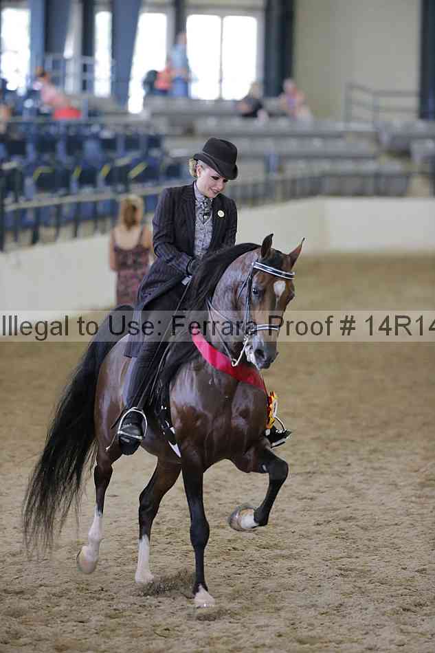 Proof Number 14r14_2517