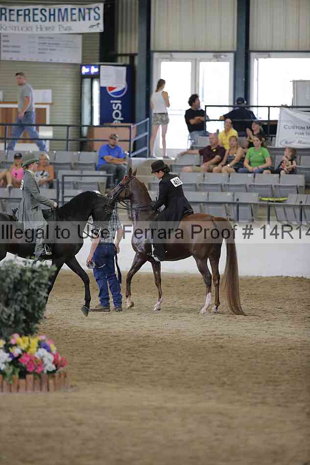 Proof Number 14r14_2518