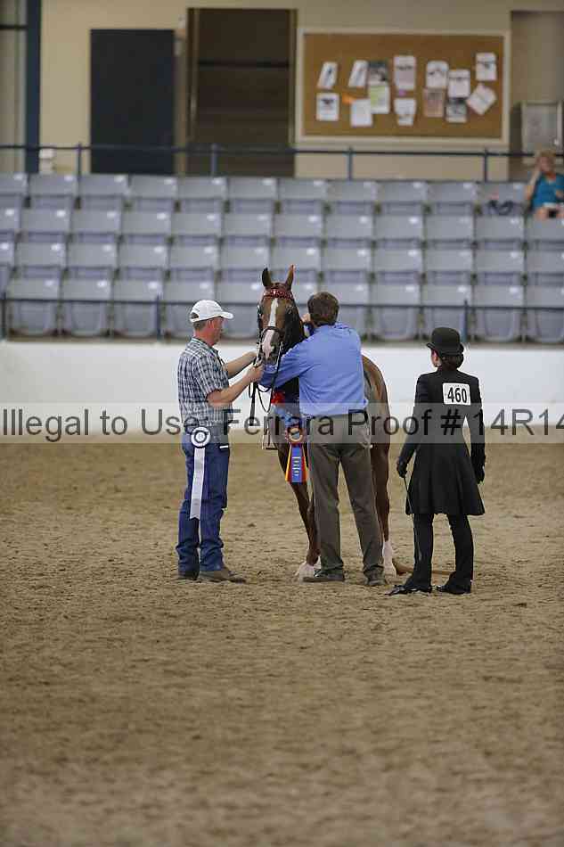 Proof Number 14r14_2519